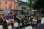 Foire chevaux Bedarrides 2017_30.jpg