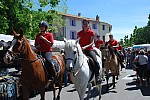 Foire chevaux Bedarrides 2017_51.jpg