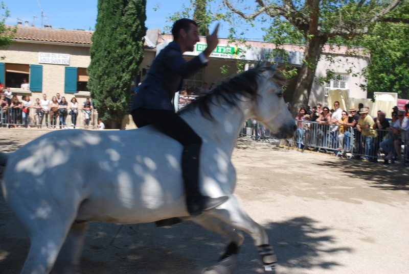 Foire_chevaux_spectacle_2019_10.jpg