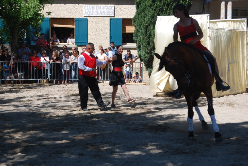 Foire_chevaux_spectacle_2019_42.jpg