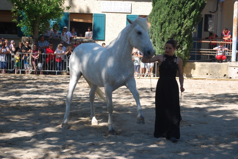Foire_chevaux_spectacle_2019_63.jpg