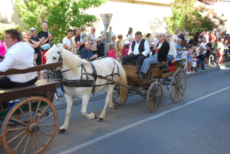 St Gens  2026 D_19.jpg
