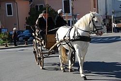 St Gens  2026 S_07.jpg