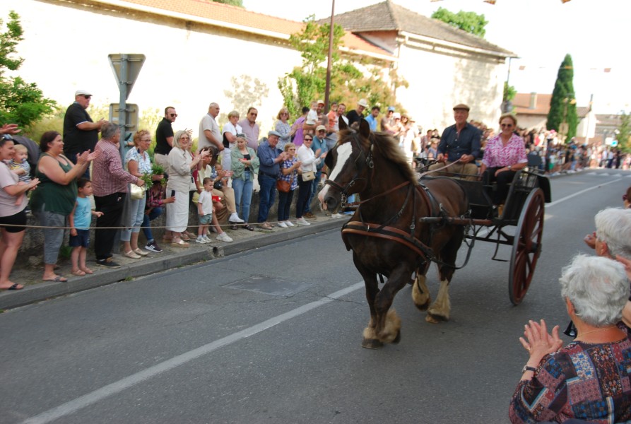 St gens di 2024_18.jpg