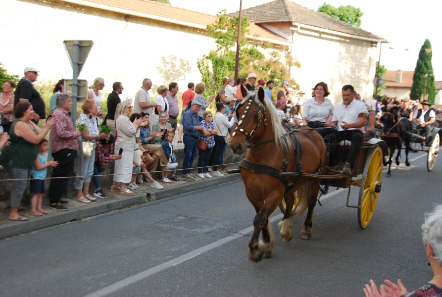 St gens di 2024_26.jpg