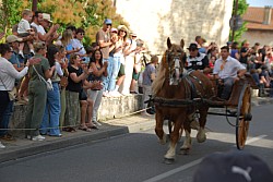 St gens di 2024_08.jpg