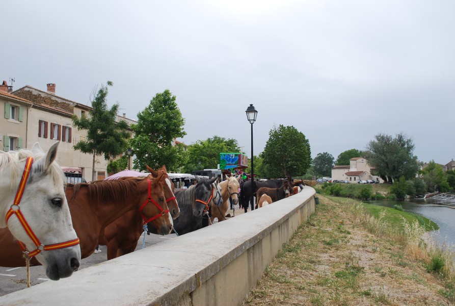 foire_chevaux_beda_2023_12.jpg