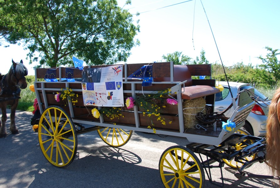 Foire_chevaux_beda_2024_04.jpg
