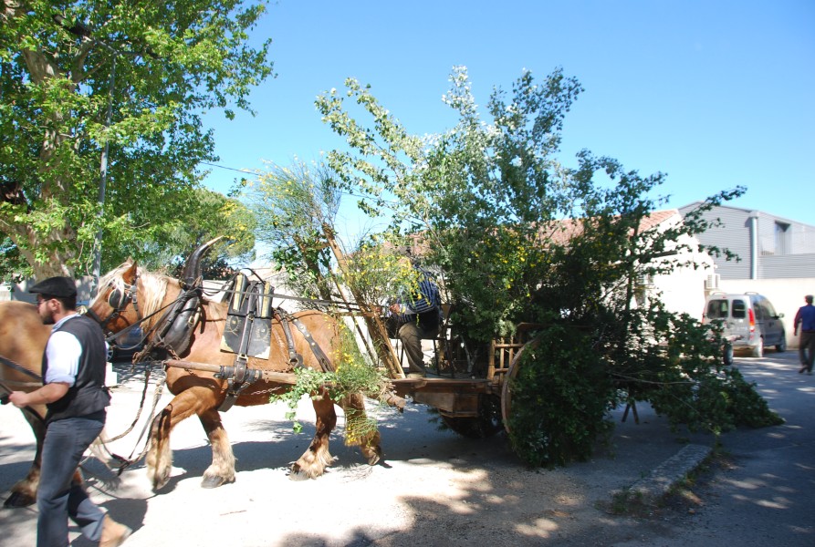 Foire_chevaux_beda_2024_09.jpg