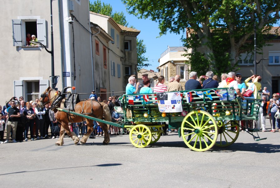 Foire_chevaux_beda_2024_17.jpg
