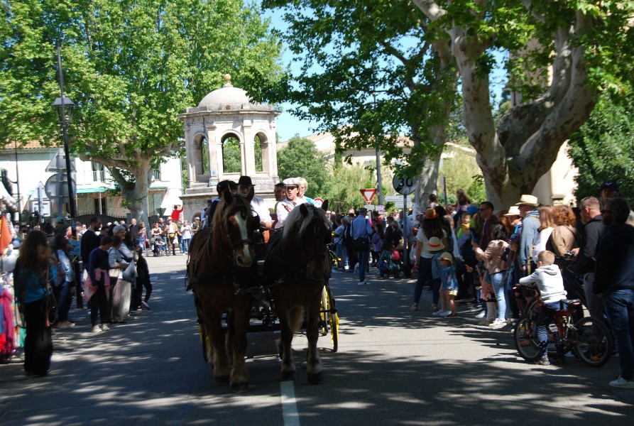 Foire_chevaux_beda_2024_20.jpg