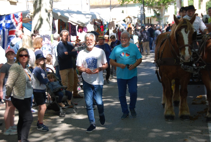 Foire_chevaux_beda_2024_21.jpg