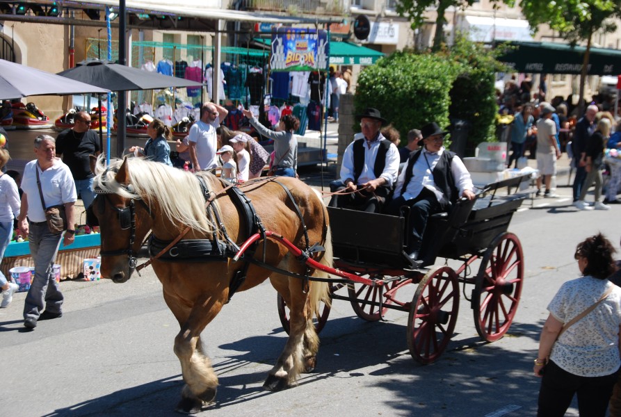 Foire_chevaux_beda_2024_53.jpg