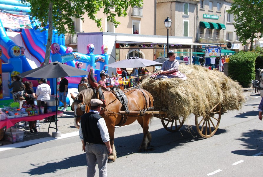 Foire_chevaux_beda_2024_58.jpg