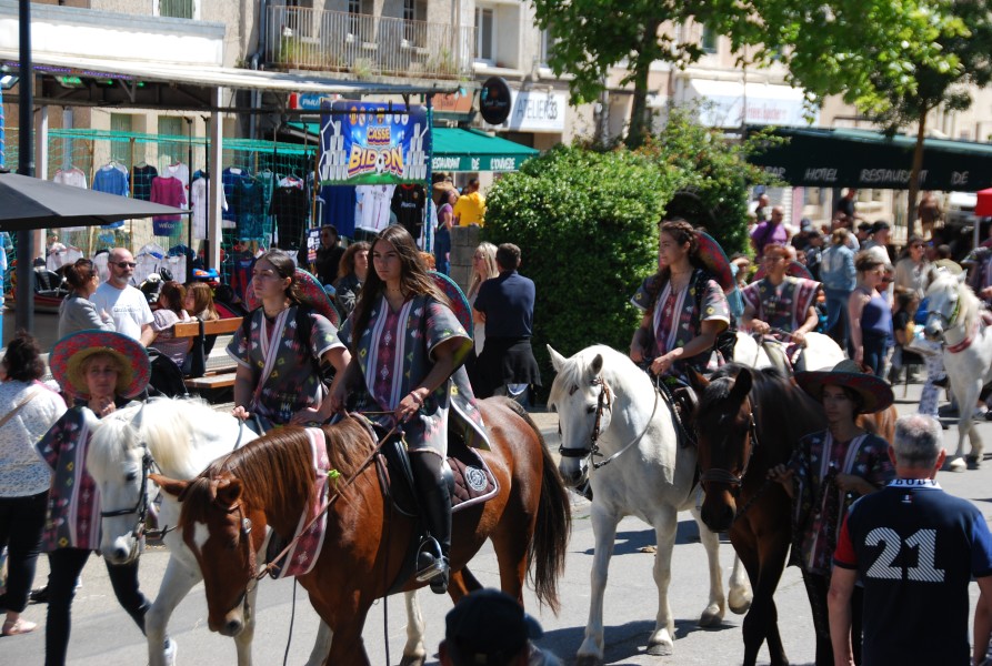 Foire_chevaux_beda_2024_61.jpg