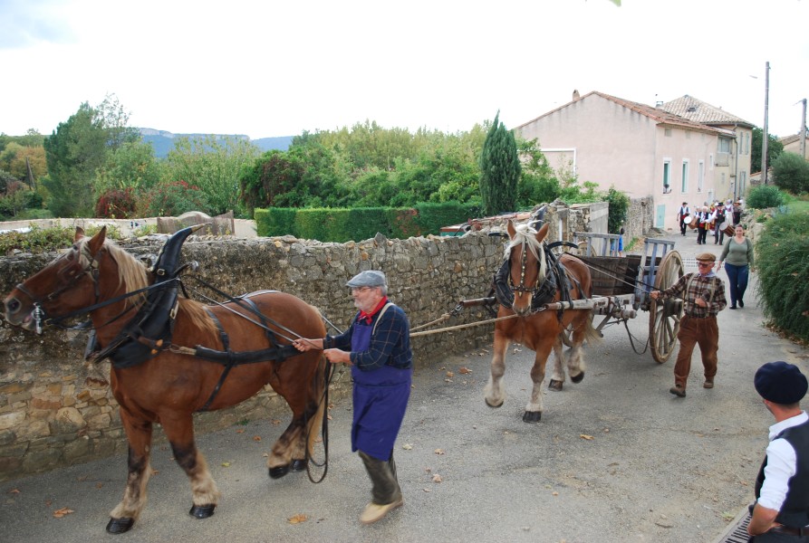 Chusclan _ 2022_64.jpg