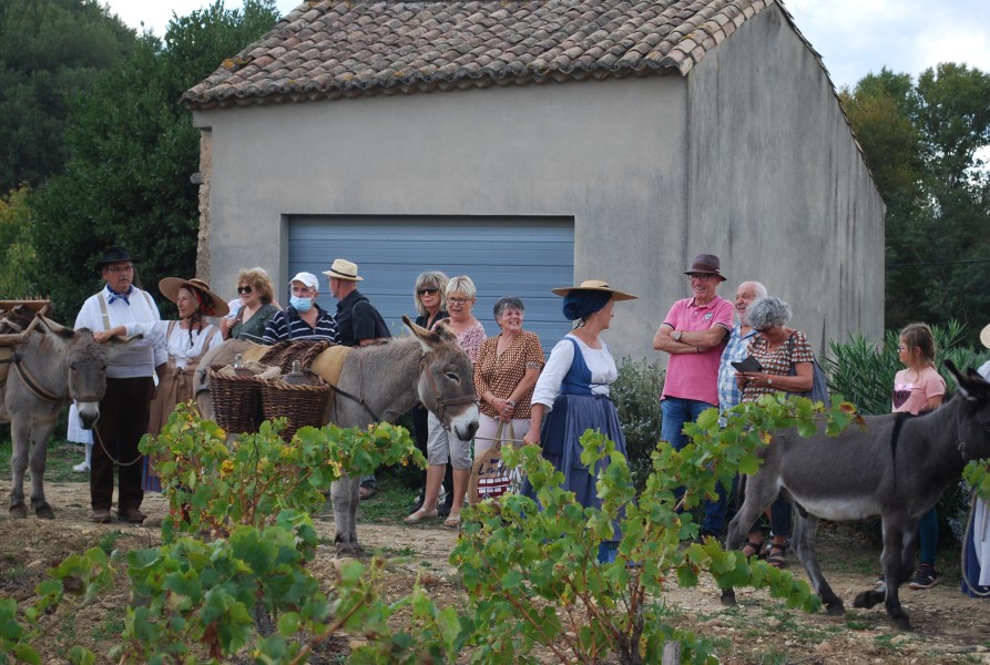 Chusclan _ 2022_79.jpg