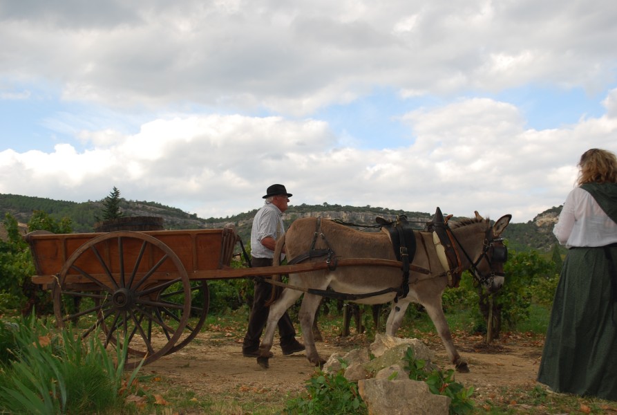 Chusclan _ 2022_82.jpg