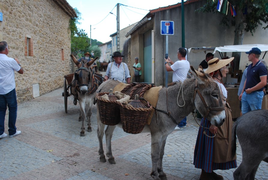 Chusclan _ 2022_86.jpg