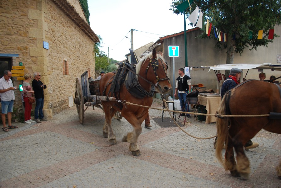 Chusclan _ 2022_88.jpg