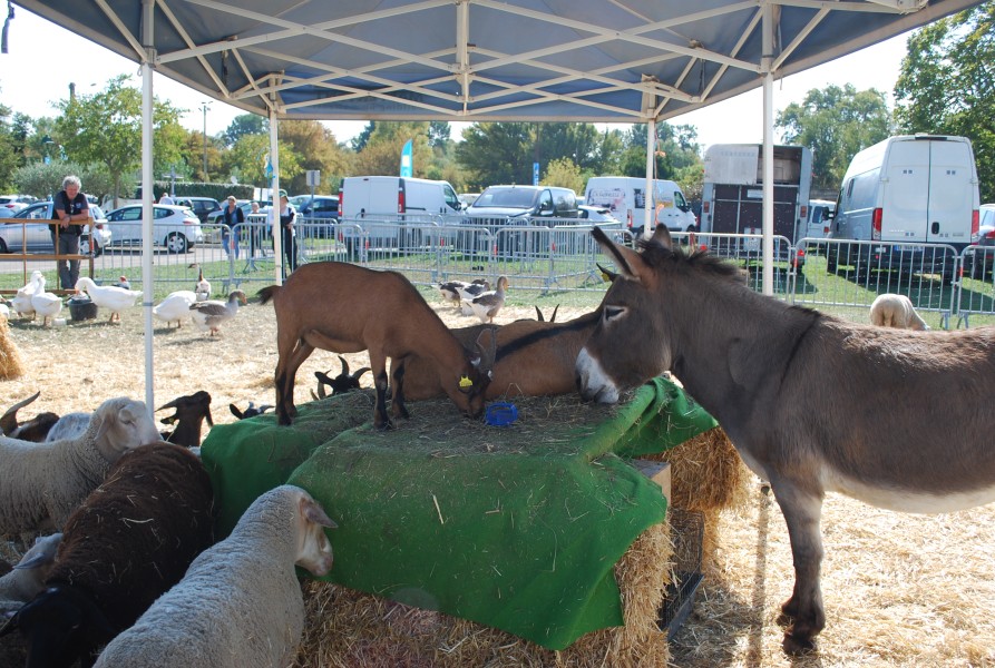 Chusclan _ 2022_07.jpg