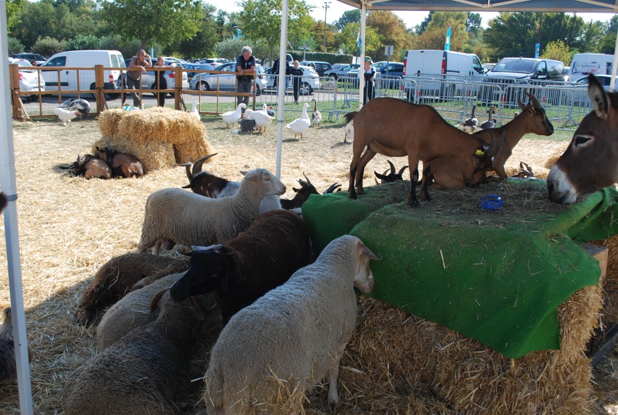 Chusclan _ 2022_08.jpg