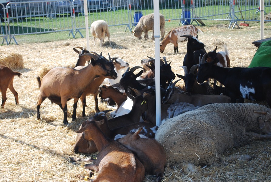 Chusclan _ 2022_10.jpg