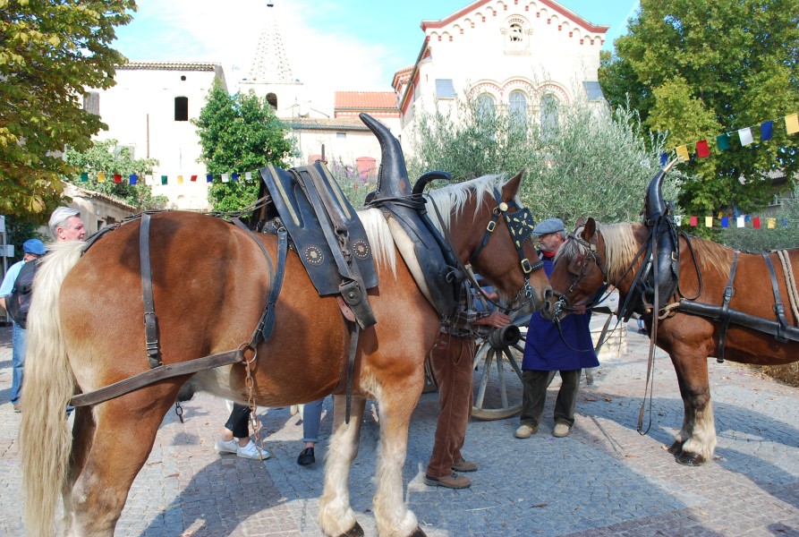 Chusclan _ 2022_15.jpg