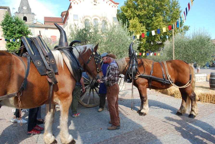 Chusclan _ 2022_16.jpg