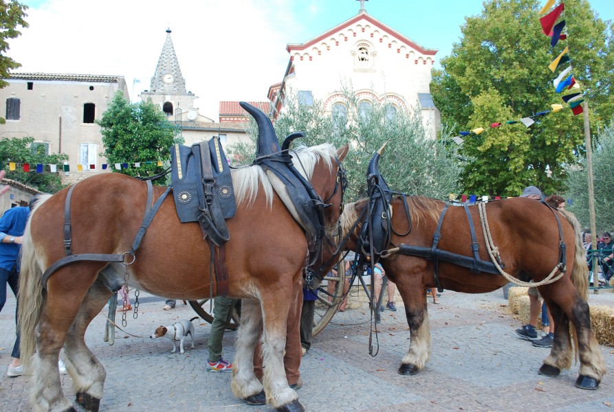 Chusclan _ 2022_17.jpg