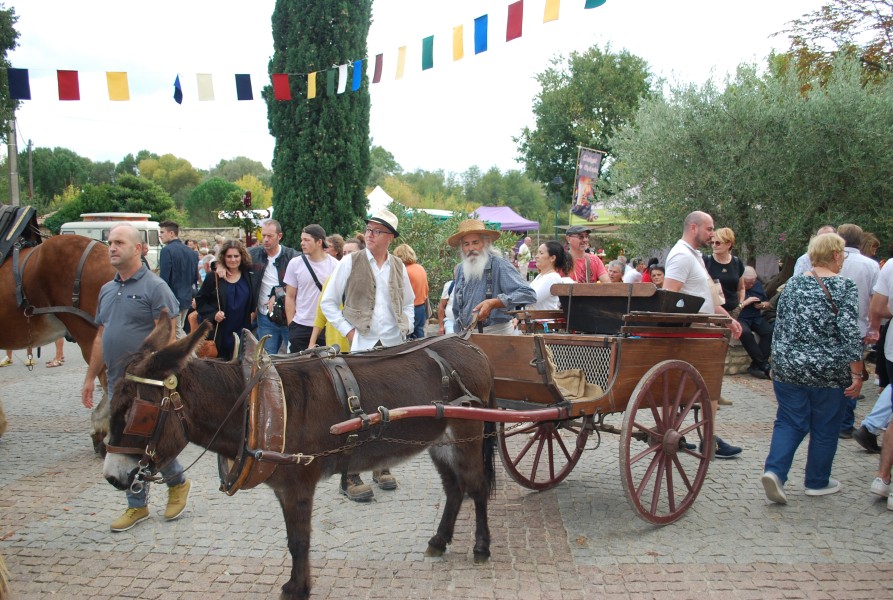 Chusclan _ 2022_34.jpg