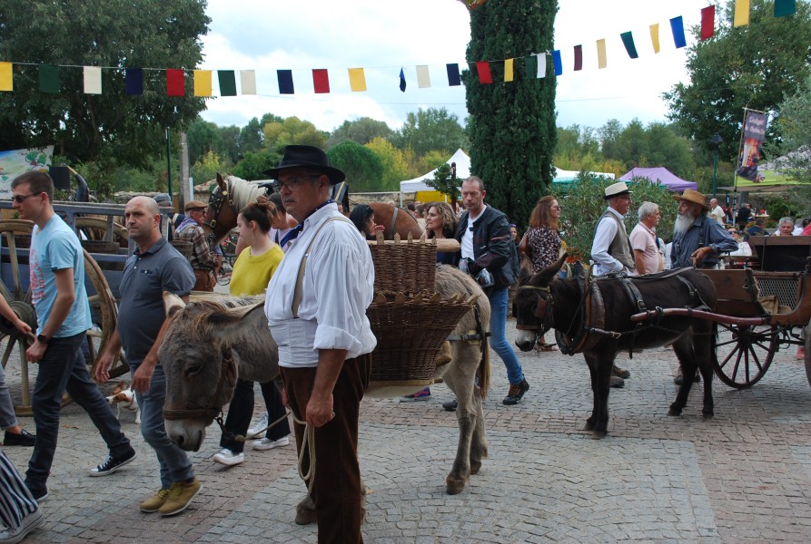 Chusclan _ 2022_35.jpg