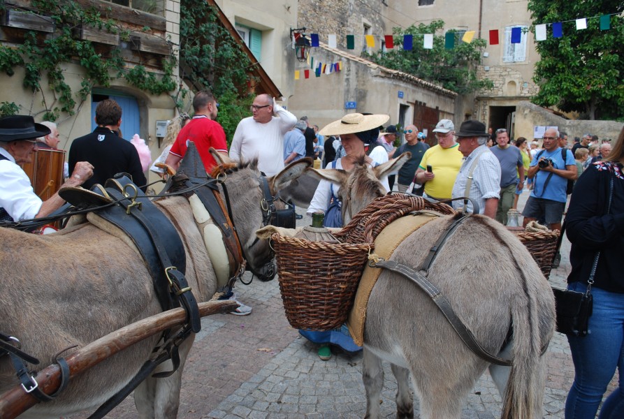 Chusclan _ 2022_38.jpg