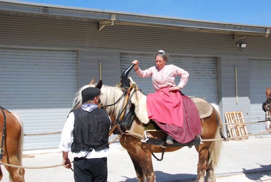 foire_chevaux_2025_11.jpg