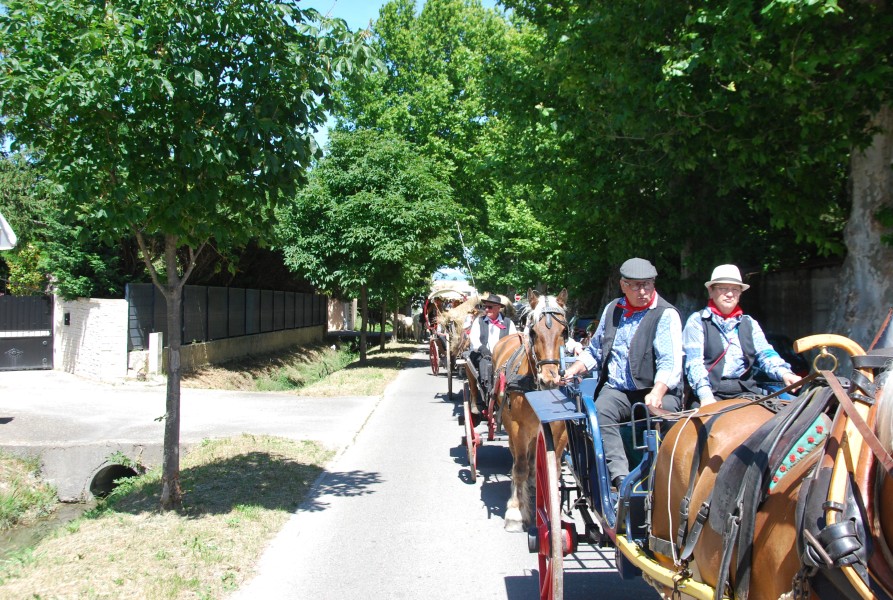 foire_chevaux_2025_100.jpg