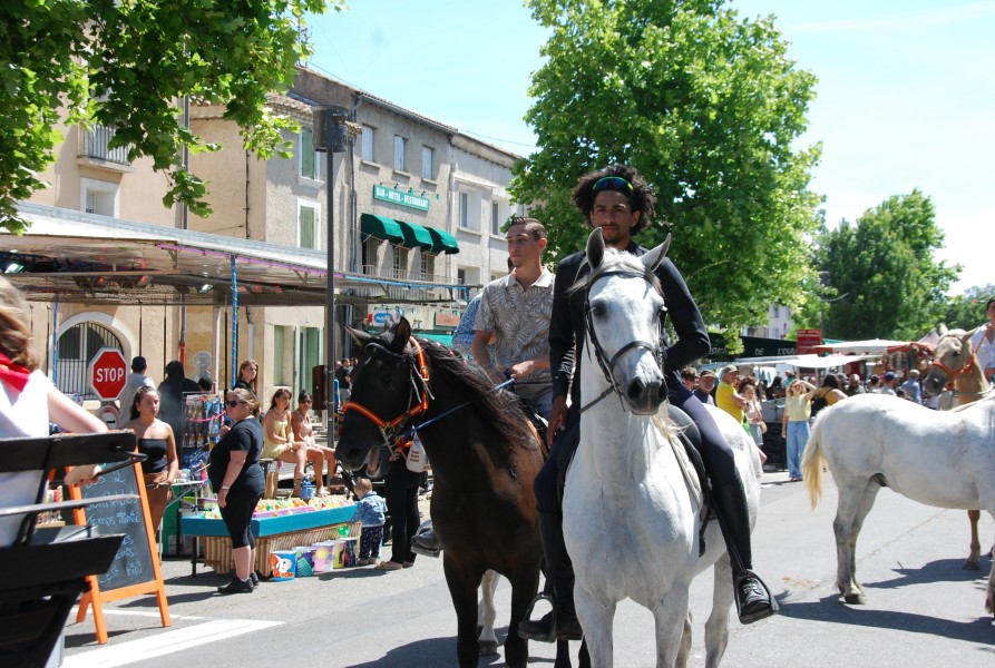 foire_chevaux_2025_57.jpg