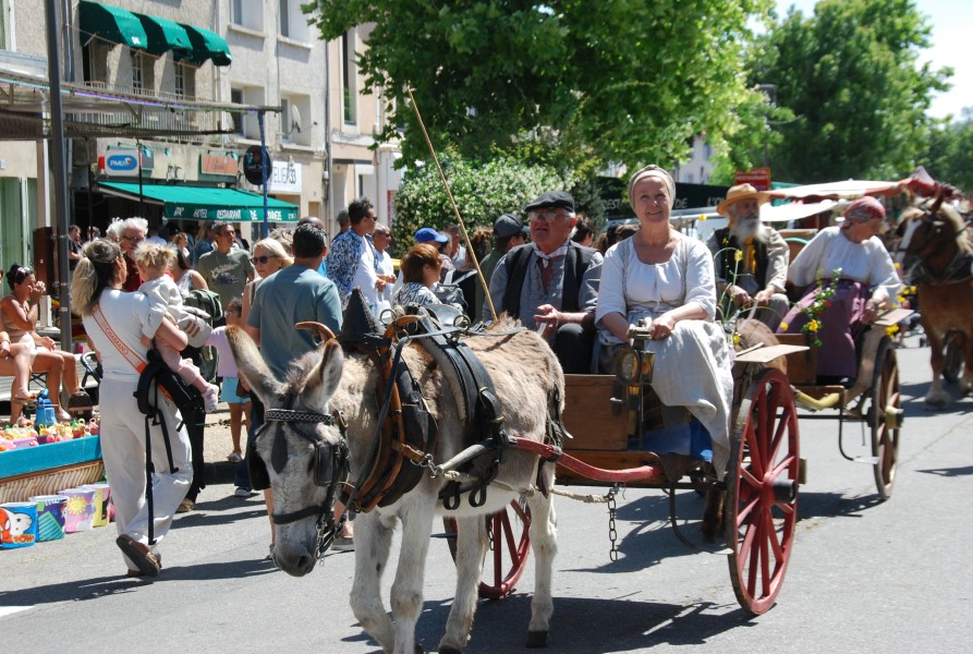foire_chevaux_2025_60.jpg