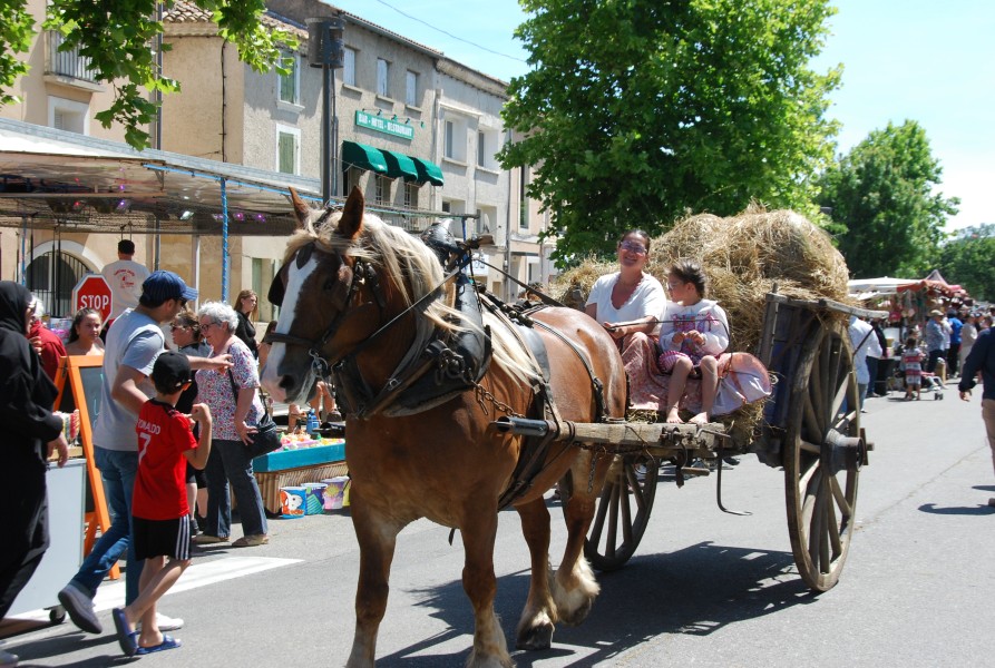foire_chevaux_2025_62.jpg