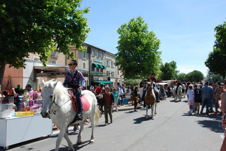 foire_chevaux_2025_67.jpg