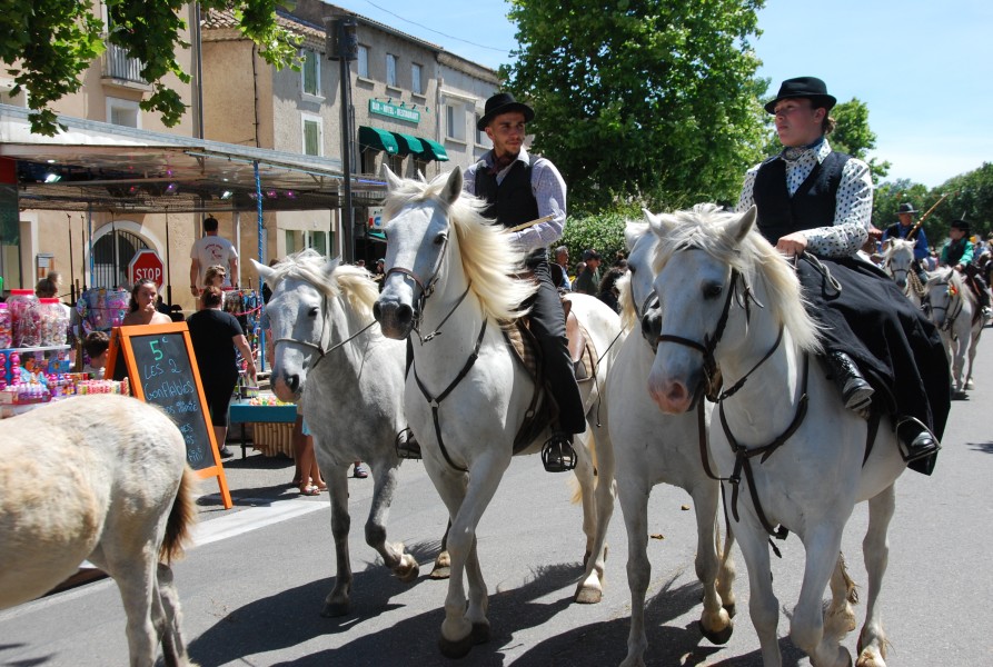 foire_chevaux_2025_74.jpg