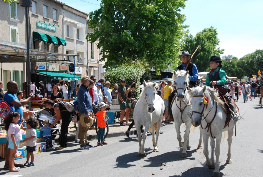 foire_chevaux_2025_75.jpg
