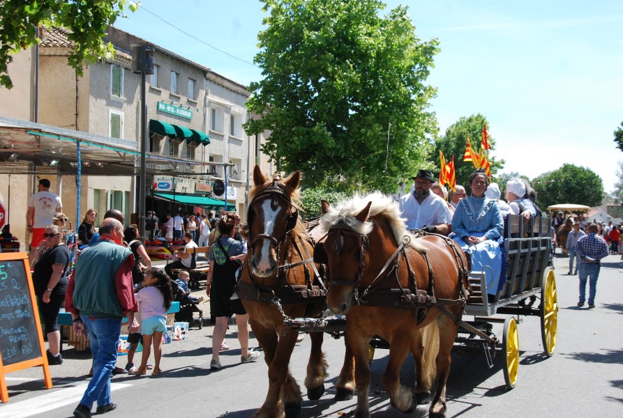 foire_chevaux_2025_77.jpg