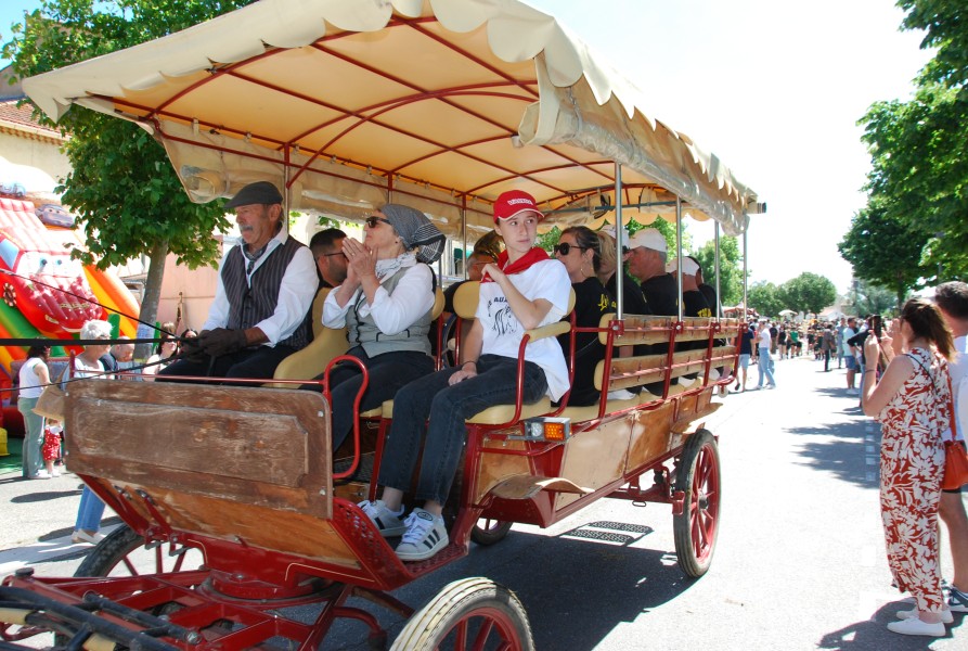 foire_chevaux_2025_81.jpg