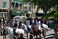 Foire chevaux bedarrides 2016_31.jpg