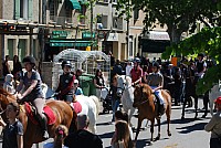 Foire chevaux bedarrides 2016_32.jpg