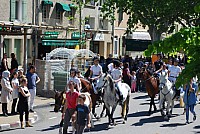 Foire chevaux bedarrides 2016_34.jpg