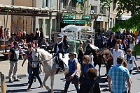 Foire chevaux bedarrides 2016_51.jpg